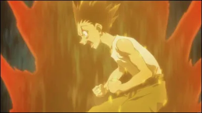 Quel Nen utilise Gon ?