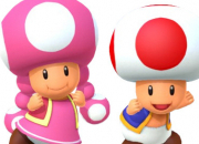 Quiz Toad & Cie - Super Mario Bros