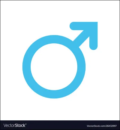 Comment s'appelle le Toad (masculin) qui a une lampe frontale et un sac ?