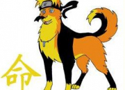 Quiz Les personnages de Naruto transform en animaux