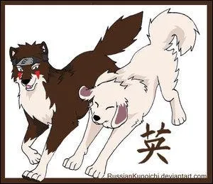 Qui sont ces deux chiens ?