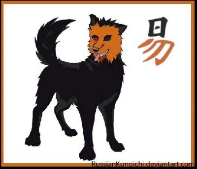 Qui est ce chien  la face orange ?