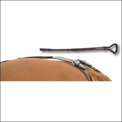 Si le cheval a une croupière, on doit mettre :