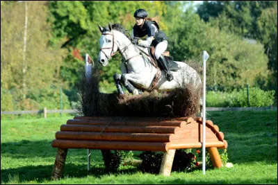 Quelle est cette discipline sur la photo ?