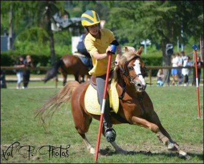 Quelle est cette discipline sur la photo ?