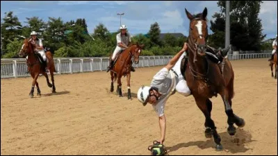 Quelle est cette discipline sur la photo ?