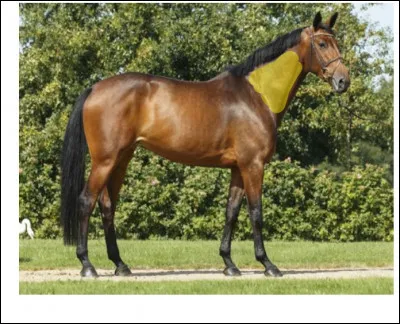 Parties du corps : quelle est cette partie du corps en jaune sur la photo ?