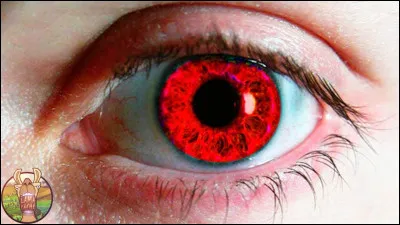 "Il a déjà tes yeux" est le titre d'un film réalisé par Lucien Jean-Baptiste.