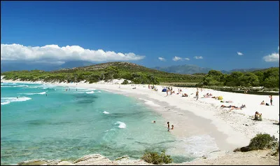 Où se situe la plage de Saleccia ?