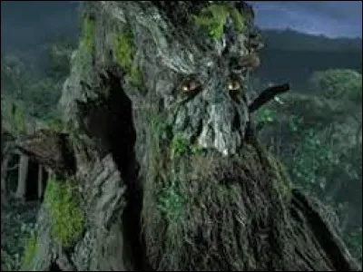 De quelle espèce d'arbres anthropomorphes Sylvebarbe est-il un des représentants ?