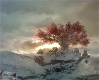 Où situez-vous l'Arbre-coeur de la série "Game of Thrones" ?