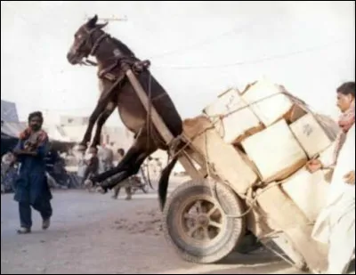 Les conditions d'accès à la profession concerne le transport de marchandises pour un compte privé :