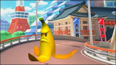 Quel est cet objet ?