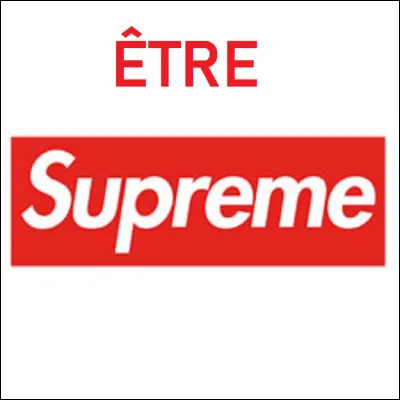 Qui a imposé ''Le culte de l'Être suprême'' ?