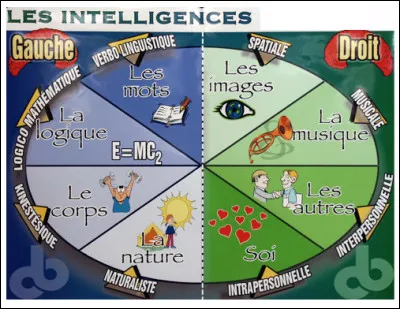 Quel est ce jeu qui permet de travailler les huit intelligences des joueurs et connaître leurs points forts ?