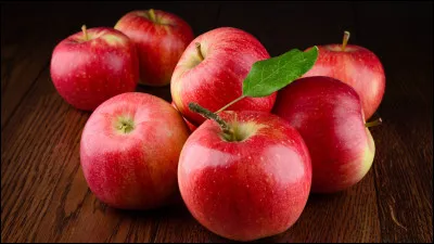 Mon premier est un animal.
Un oiseau niche dans mon second.
Mon tout est à mettre sur les ongles.