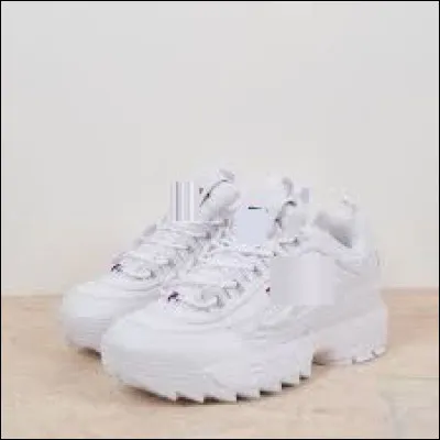 Quelle est la marque de ces chaussures ?