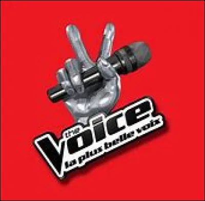 Quelle saison de "The Voice" Slimane gagne-t-il ?