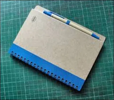 Tu as un carnet. Qu'en fais-tu ?