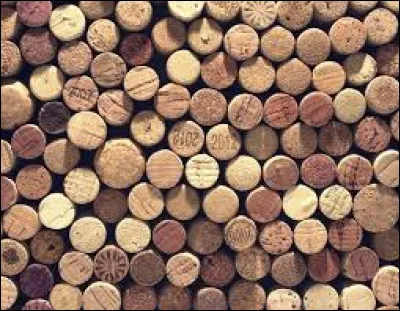 Que signifie l'expression « Pousser le bouchon un peu trop loin » ?