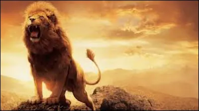 Qui est l'auteur du roman "Le Lion" ?