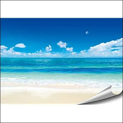 À votre avis, pourrons-nous aller à la ____ cet été ?