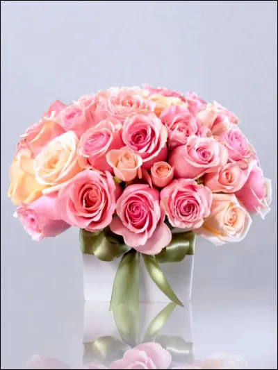 Quelle fleur préfères-tu ?