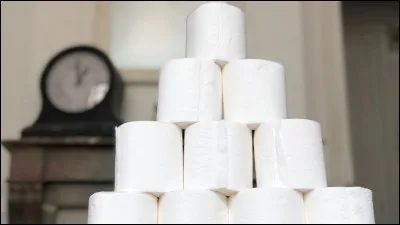 Par quel mot désigne-t-on la collection de papier toilette ?