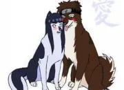 Quiz Les personnages de Naruto transforms en animaux (2)