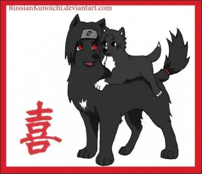 Qui sont ces deux petits chiens ?