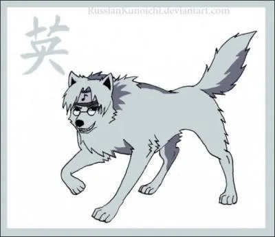 Qui est ce chien  lunettes ?