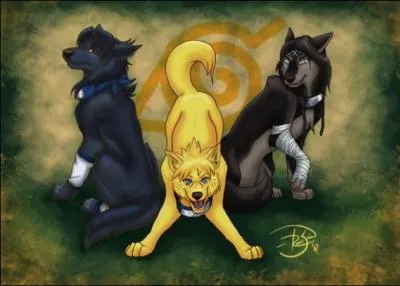 De qui est compose cette quipe ?