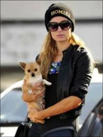 Quelle star peut-on voir avec son chihuahua ?