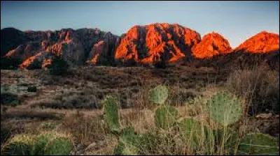 Le dé ; sert de Chihuahua est le deuxiè ; me plus grand dé ; sert des Amé ; riques et le plus grand d'Amé ; rique du Nord.