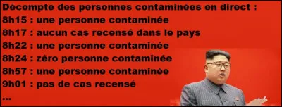 Dans quel pays la lutte contre la pandémie est-elle la plus "efficace" ?