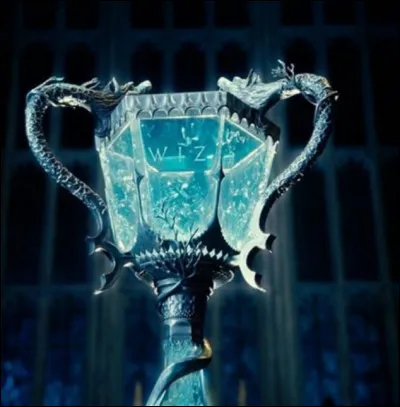 Est-ce que tu voudrais participer au Tournoi des 3 Sorciers ?