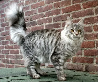 Décris la-moi physiquement.