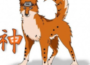 Quiz Les personnages de Naruto transforms en animaux (3)