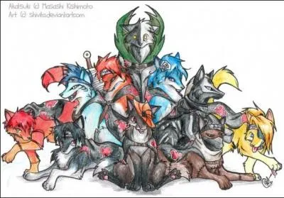 Comment s'appelle cette organisation ou ce(s) pays rempli(e) de chiens ?