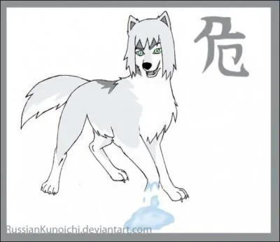 Qui est ce chien blanc ?