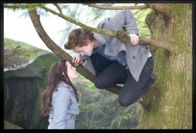 Dans quel tome se trouve cette photo ?