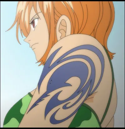 Combien Nami devait-elle donner de Berry à Arlong pour pouvoir sauver le village ?