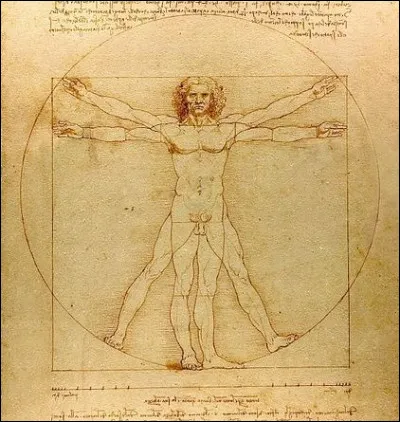 Laquelle de ces articulations est-elle l'intruse ?