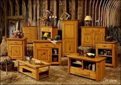 Lequel de ces meubles est-il l'intrus ?