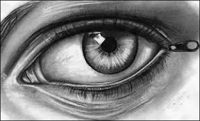 Lequel de ces instruments d'optique est-il l'intrus ?