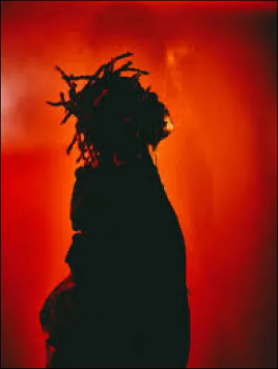 Qui chante "Cardigan" ?