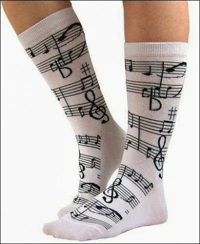 Qui était le chanteur du groupe "Les Chaussettes Noires" ?