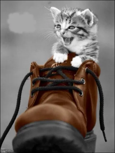 Qui est le réalisateur du film "Le Grand Blond avec une chaussure noire" ?