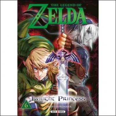 L'ombre de Link est-elle réalité ?