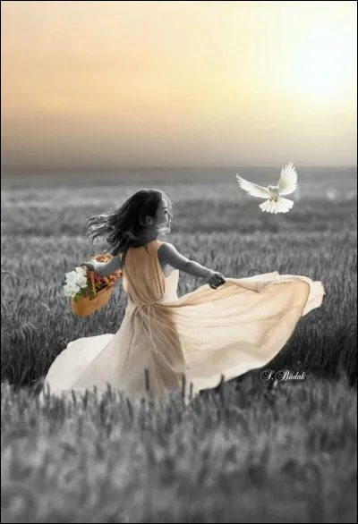 Comment les pommes de terre s'habillent-elles ?